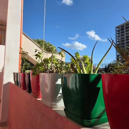 Antique House Muradie Gæstehus Vlorë