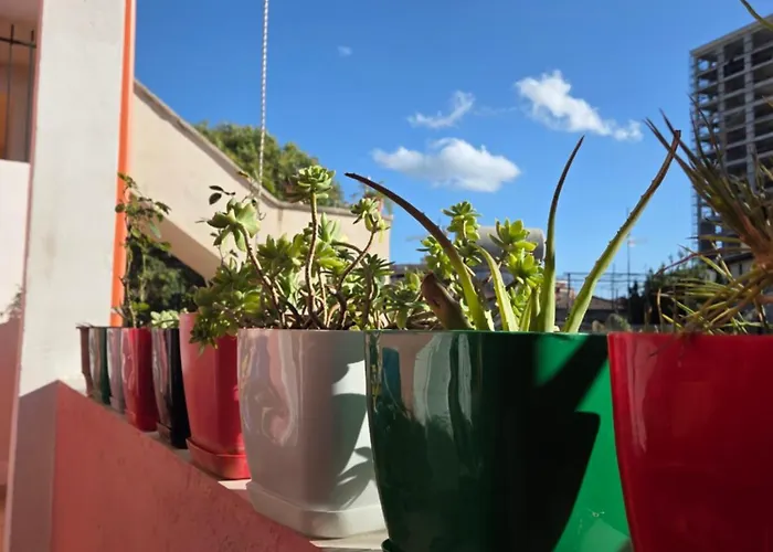 Antique House Muradie Pensjonat Wlora